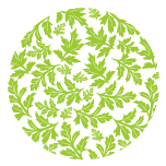 オフィシャルサイト